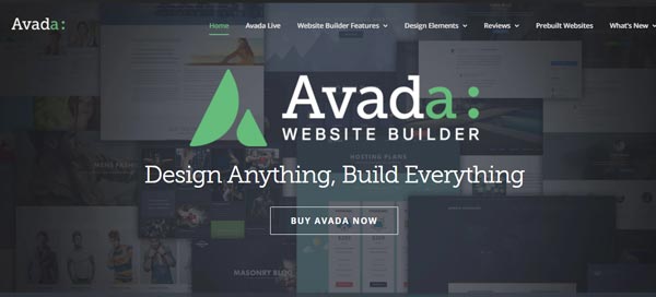miglior tema wordpress AVADA