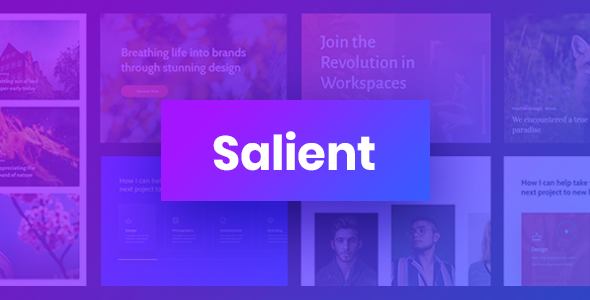 miglior tema wordpress SALIENT